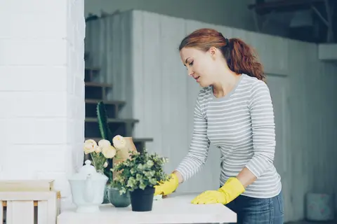 Cần tìm người giúp việc nhà TP.HCM — cô giúp việc dọn dẹp phòng khách gia đình